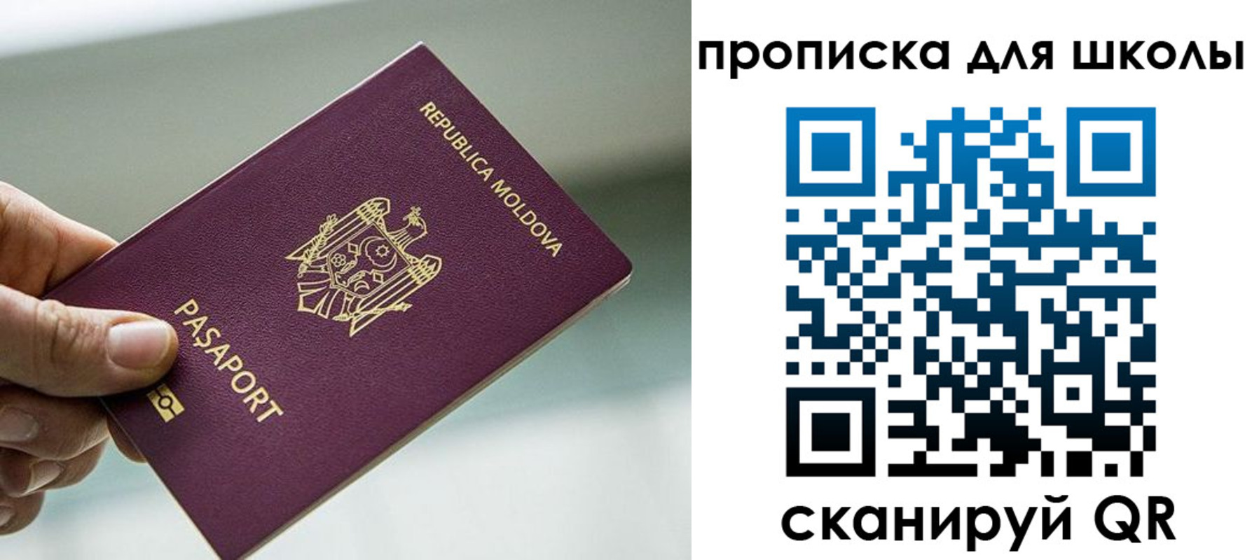 прописка в квартире в Новошахтинске